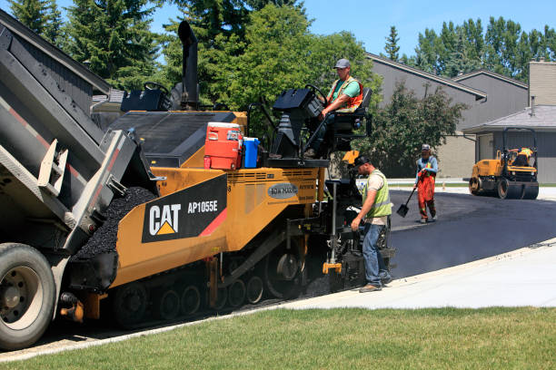 Best Driveway Paving Contractor  in South St Paul, MN